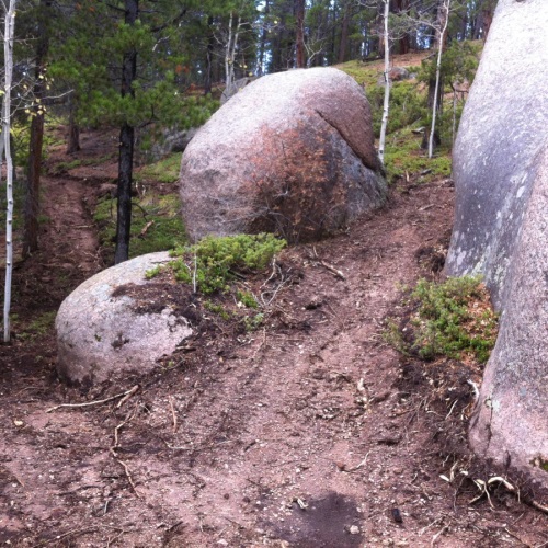 Gallery of Trails