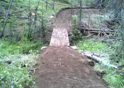 Trail with wooden bridge