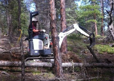 Trail Building